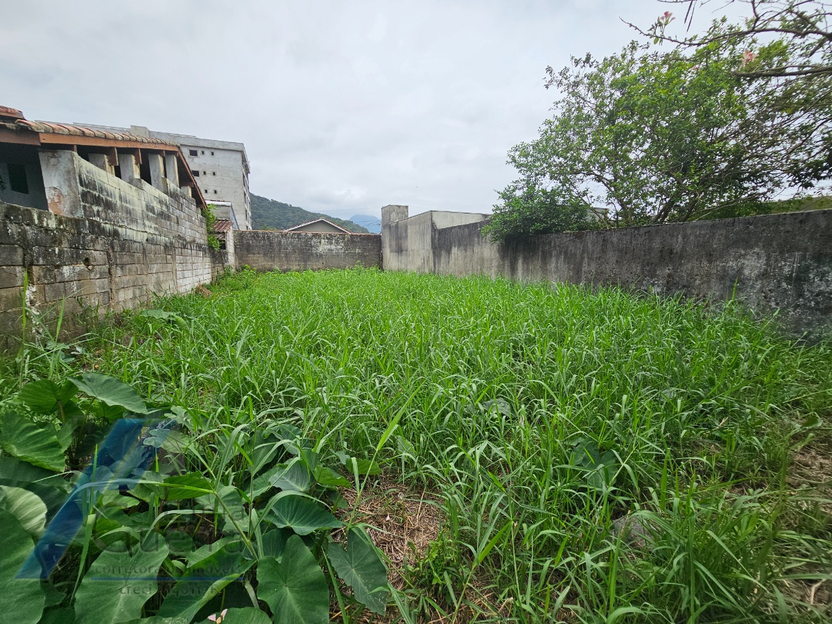 Terreno à venda, 250m² - Foto 9