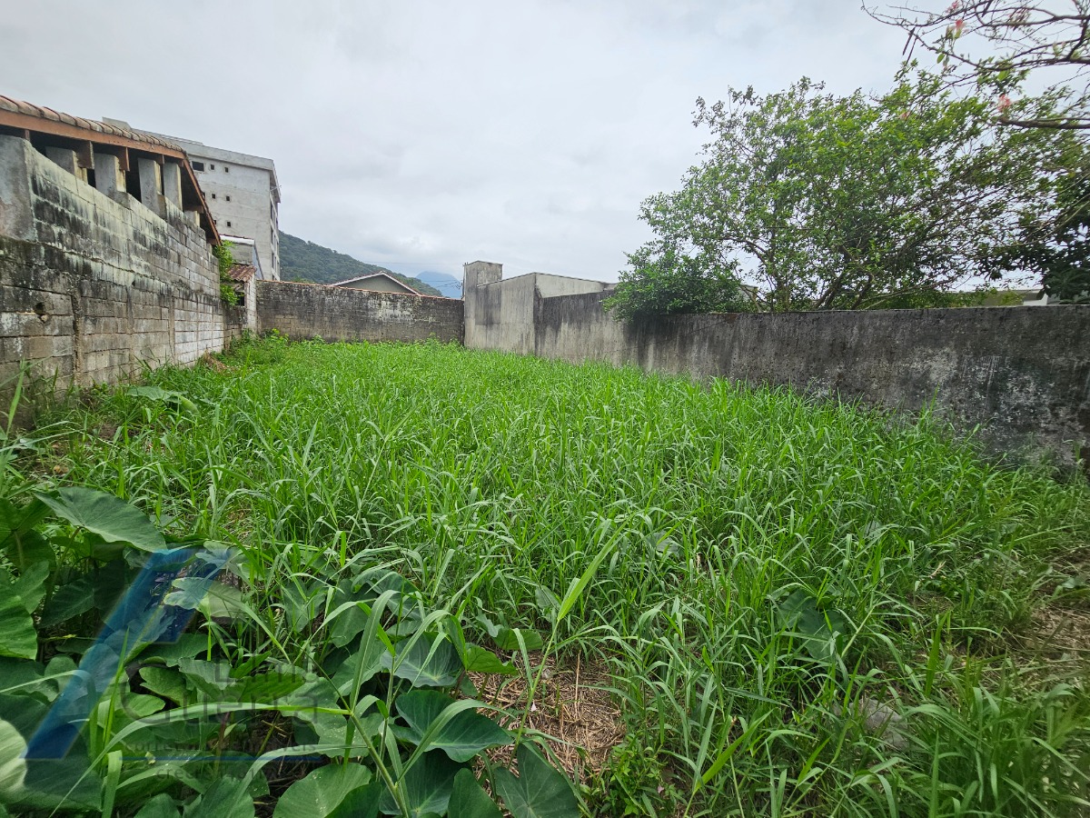 Terreno à venda, 250m² - Foto 1