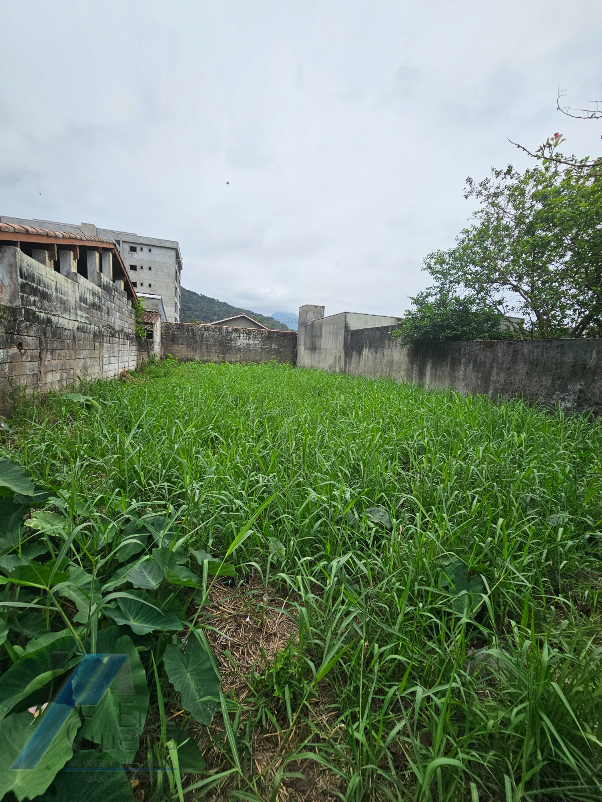 Terreno à venda, 250m² - Foto 8