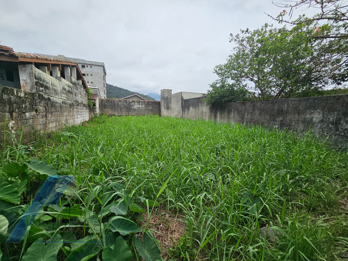 Terreno à venda, 250m² - Foto 7