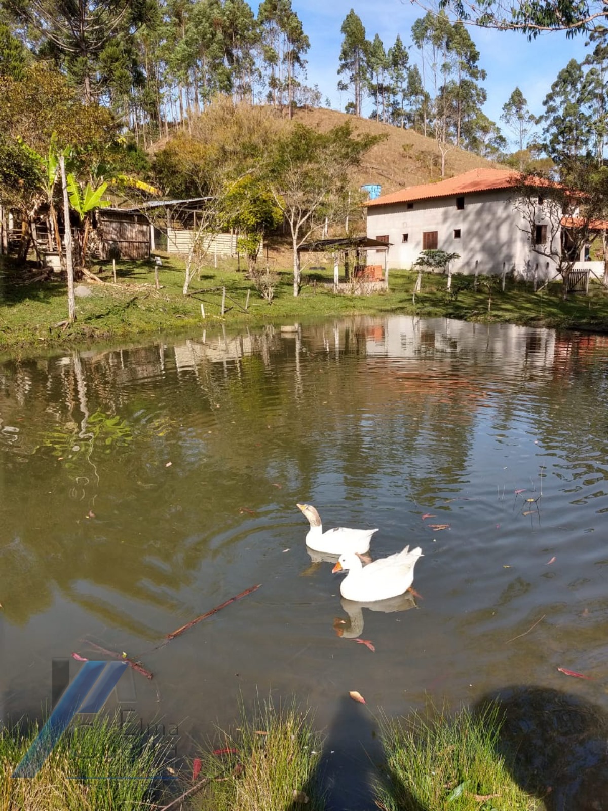 Fazenda à venda com 2 quartos, 120m² - Foto 1