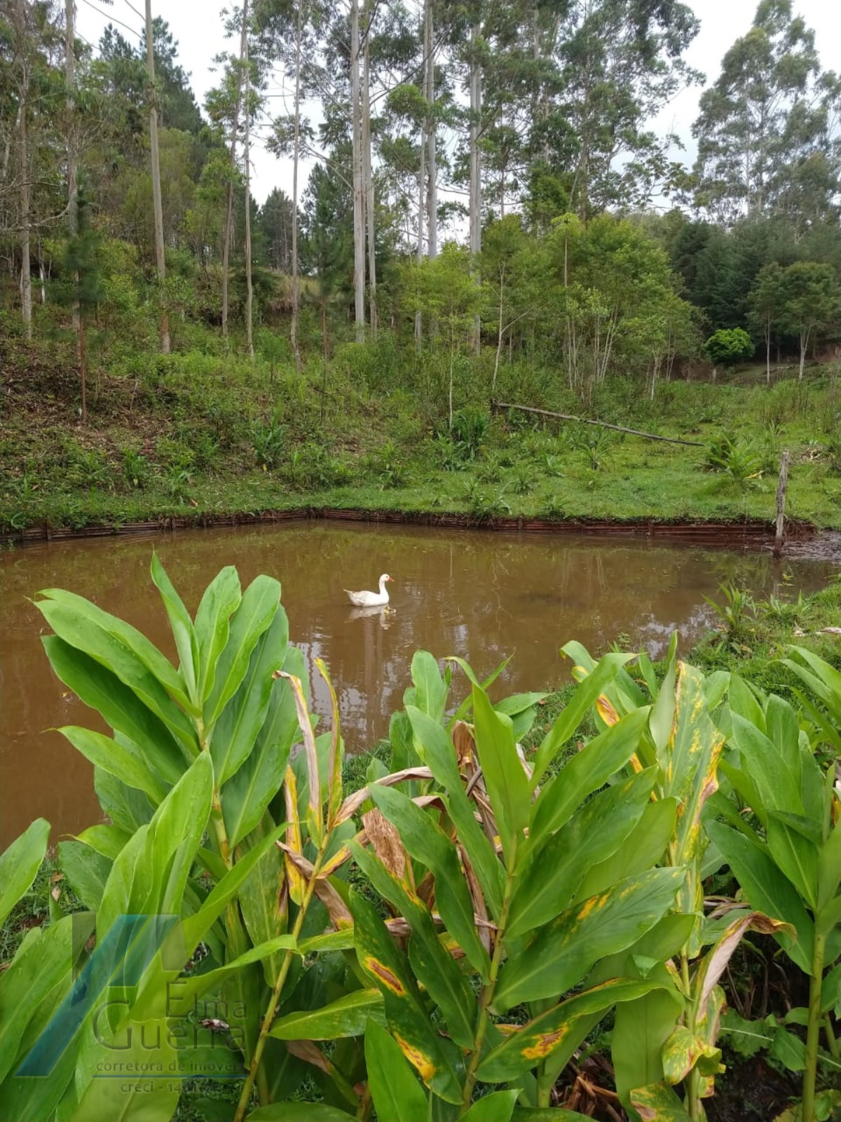 Fazenda à venda com 2 quartos, 120m² - Foto 14