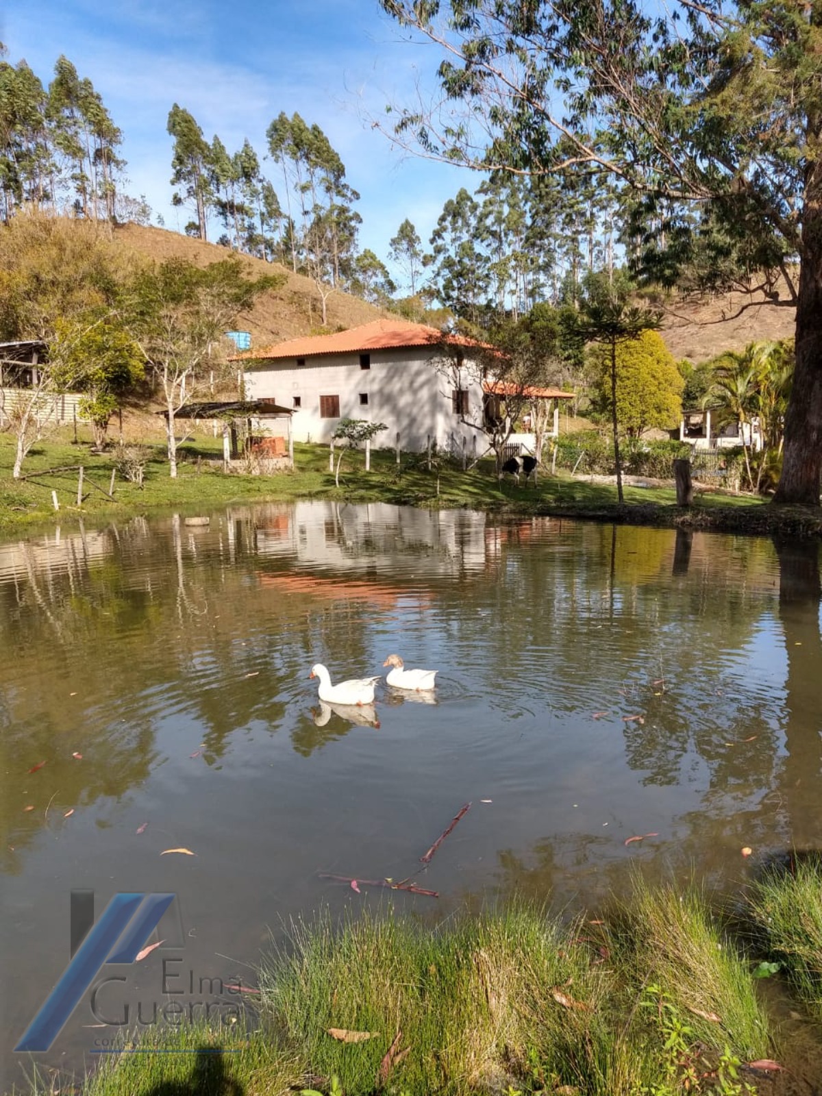 Fazenda à venda com 2 quartos, 120m² - Foto 24