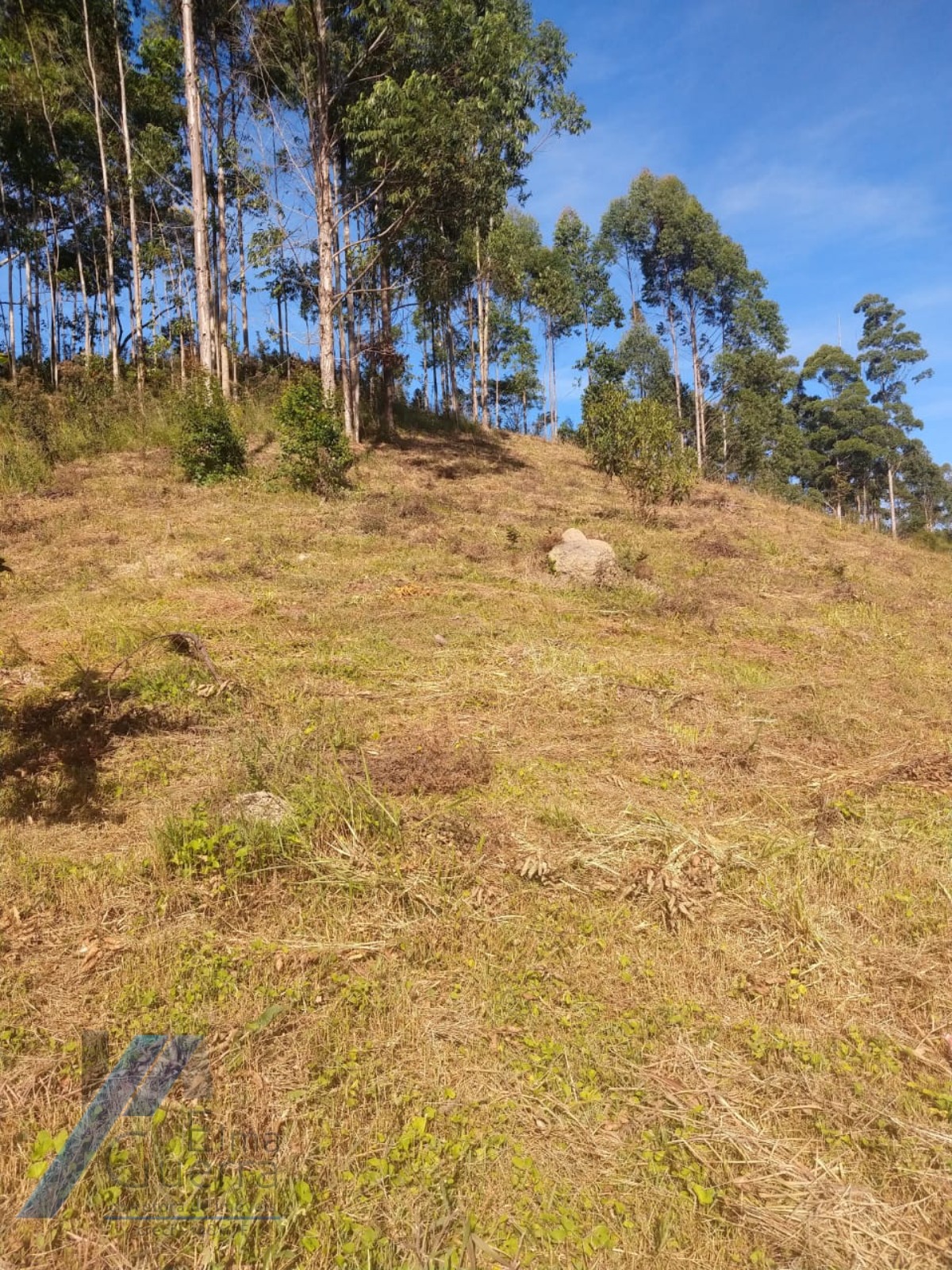 Fazenda à venda com 2 quartos, 120m² - Foto 3