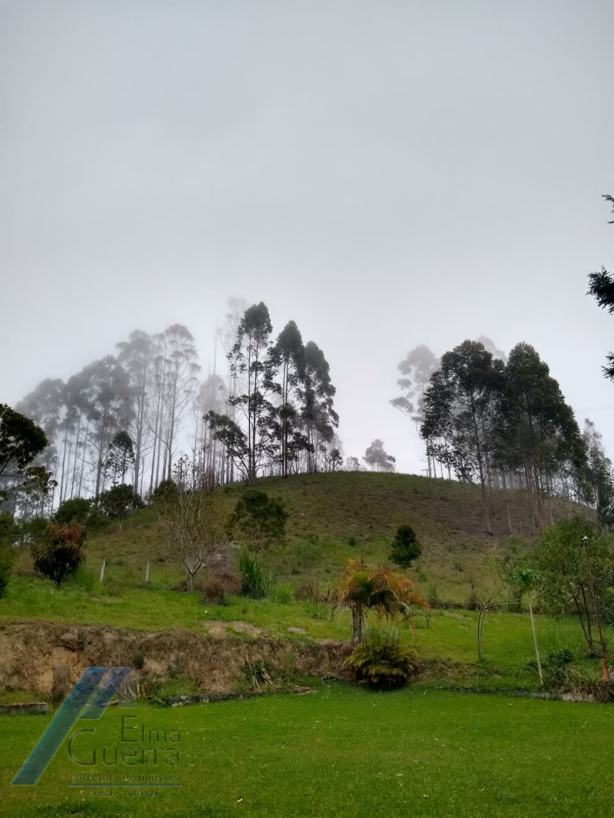 Fazenda à venda com 2 quartos, 120m² - Foto 8